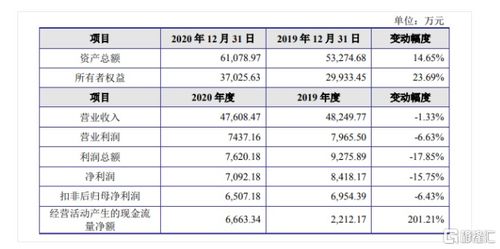 金智教育聚焦高等教育信息化，2020年營收達4.7億元，核心業務為信息系統集成服務
